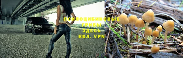 дмт Алексеевка