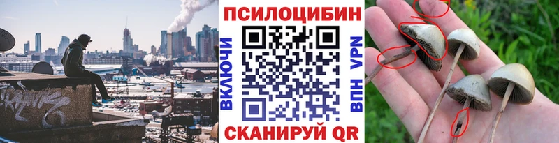 наркота  Гуково  Галлюциногенные грибы Cubensis 