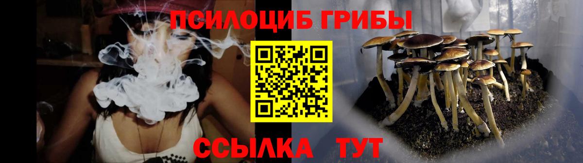 Псилоцибиновые грибы MAGIC MUSHROOMS  Вход с VPN  где продают наркотики  Псилоцибиновые грибы GOLDEN TEACHER  Гуково 